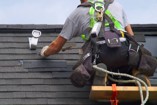 Best Roof Maintenance Services  in Lake Ridge, VA