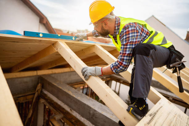 Best Metal Roofing Contractor  in Lake Ridge, VA