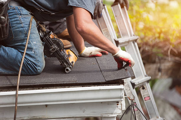 Best Storm Damage Roof Repair  in Lake Ridge, VA