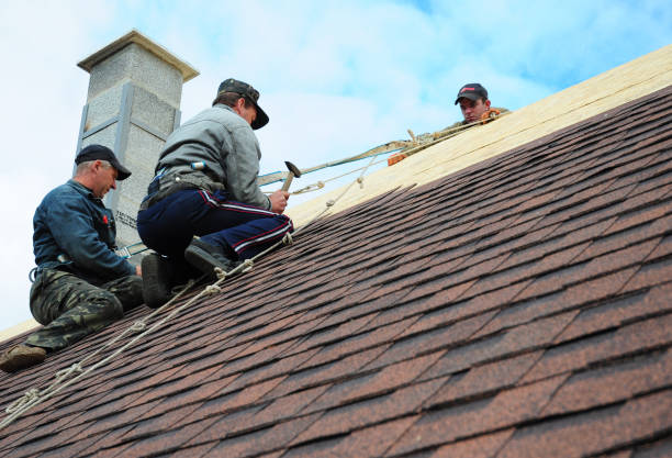 Quick and Trustworthy Emergency Roof Repair Services in Lake Ridge, VA
