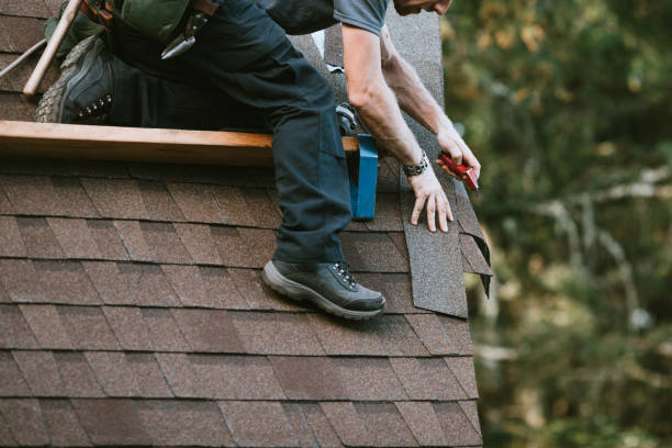 Best Roof Inspection Near Me  in Lake Ridge, VA