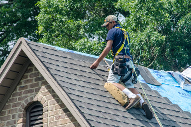 Best Roof Gutter Cleaning  in Lake Ridge, VA